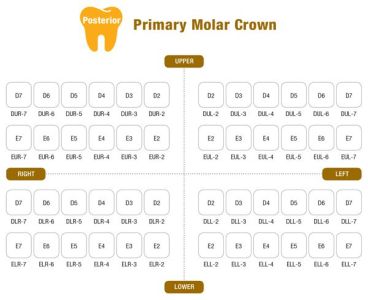 Коронки I CROWN Refill DLL-6 из нержавеющей стали детские (5 шт) Seil Global